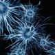 Illustration for article titled Psychedelic Drugs May Help the Brain Repair Itself, Study Findsem/em